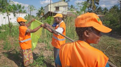 Three people in orange vests and hats work outdoors, holding a green bag and a tool, with a house and palm trees in the background.