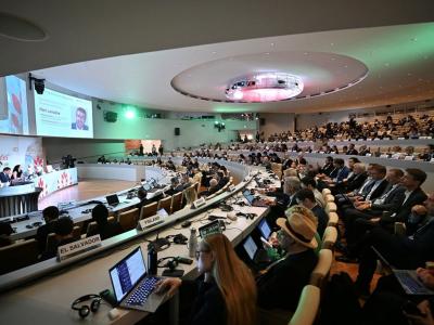 A large conference room filled with delegates seated in rows, attending a formal panel discussion with presentations displayed on large screens.